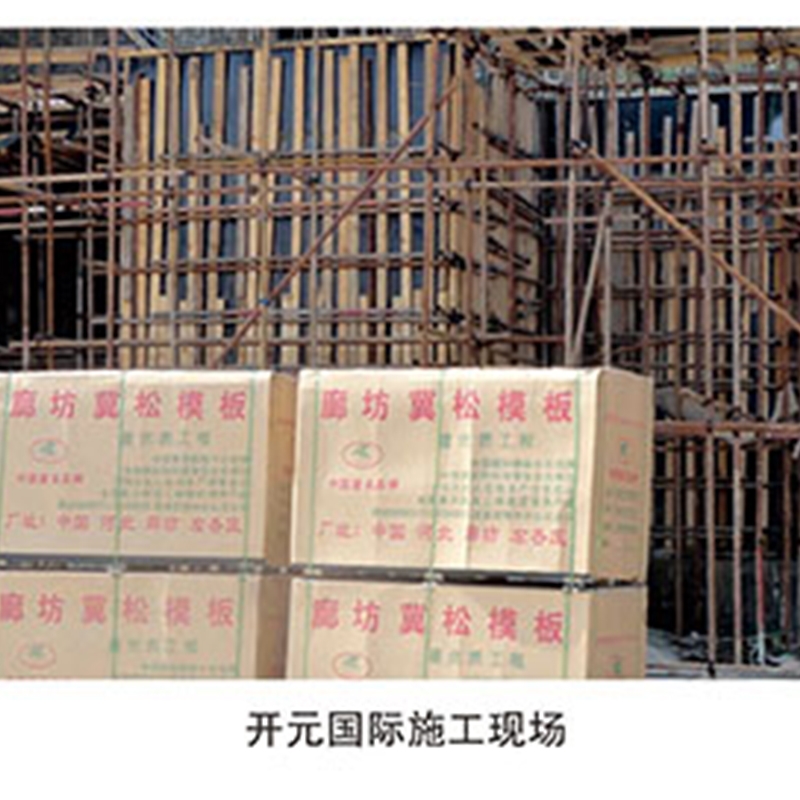 開元國際施工現場