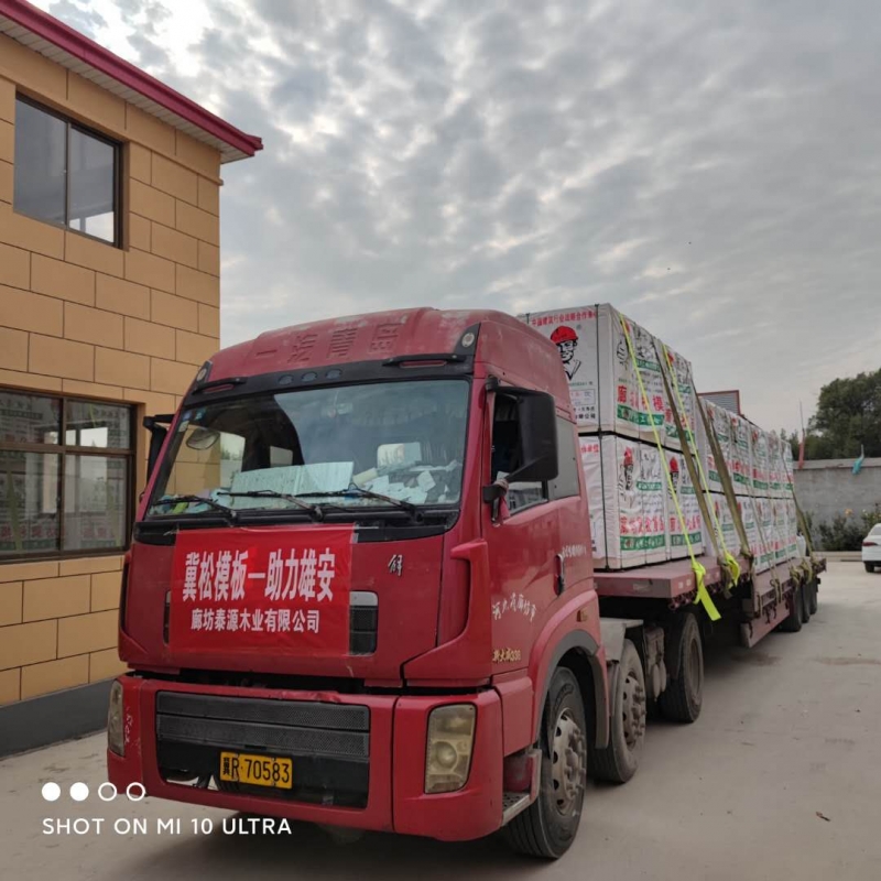 建筑模板廠家講述建筑模板在行業中的發展